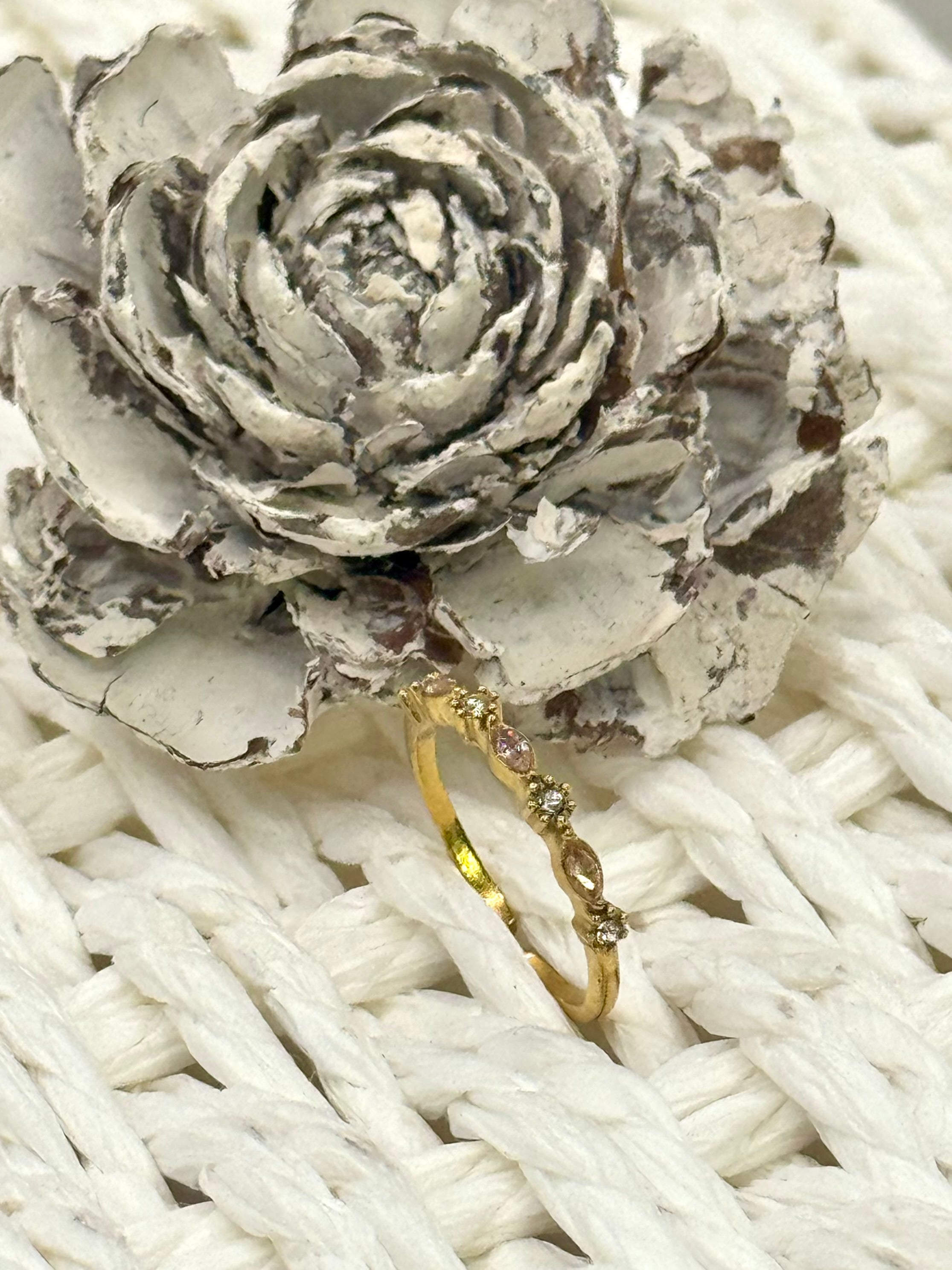 OLY rose